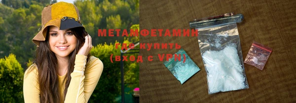 прущие грибы Армянск