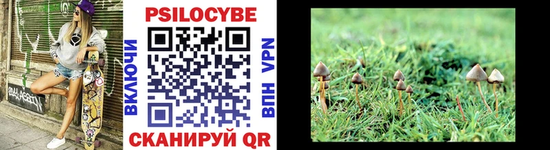 Галлюциногенные грибы MAGIC MUSHROOMS наркота Холм